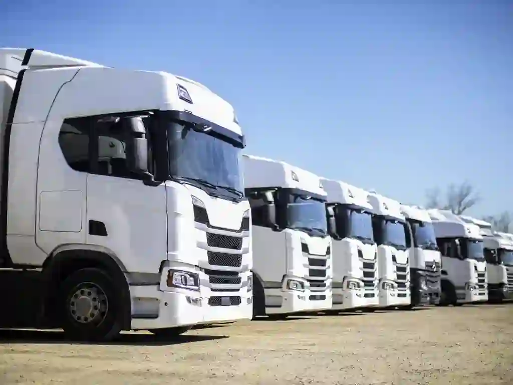 white trucks lined up
