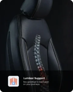 Lumbar Support